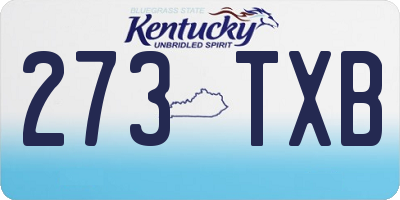 KY license plate 273TXB