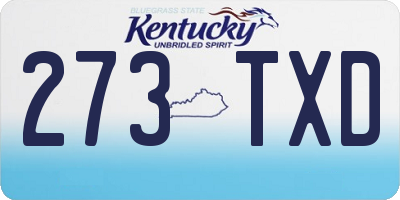 KY license plate 273TXD
