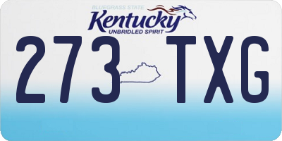 KY license plate 273TXG