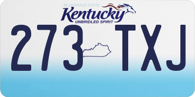 KY license plate 273TXJ