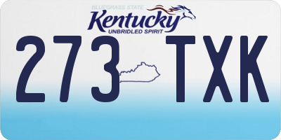 KY license plate 273TXK