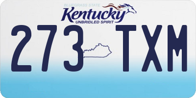 KY license plate 273TXM