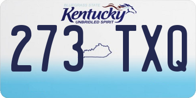 KY license plate 273TXQ