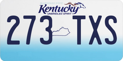 KY license plate 273TXS