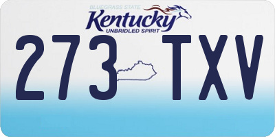 KY license plate 273TXV