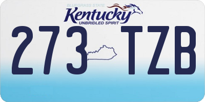 KY license plate 273TZB