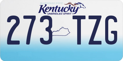 KY license plate 273TZG