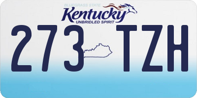 KY license plate 273TZH
