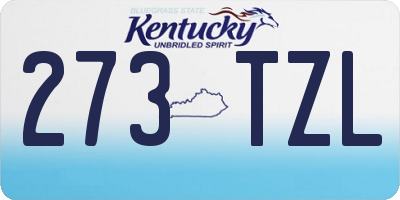 KY license plate 273TZL