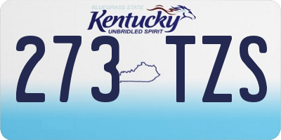 KY license plate 273TZS