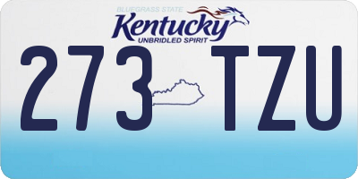 KY license plate 273TZU