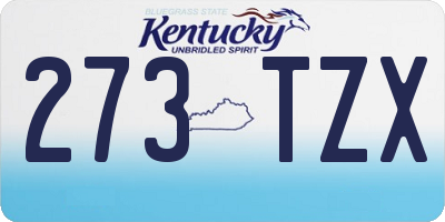 KY license plate 273TZX