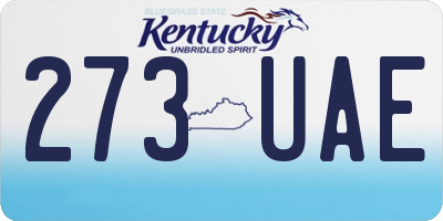 KY license plate 273UAE