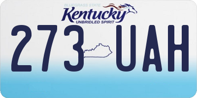 KY license plate 273UAH