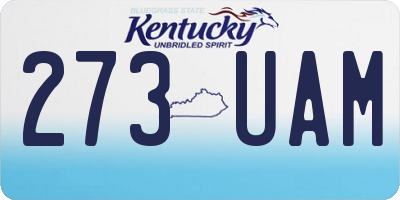 KY license plate 273UAM