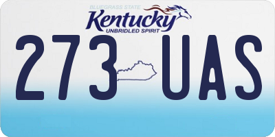 KY license plate 273UAS