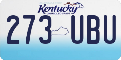 KY license plate 273UBU