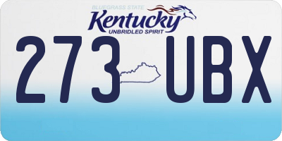 KY license plate 273UBX