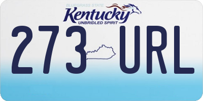 KY license plate 273URL