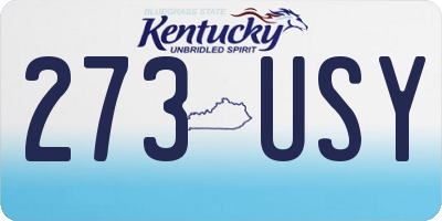 KY license plate 273USY