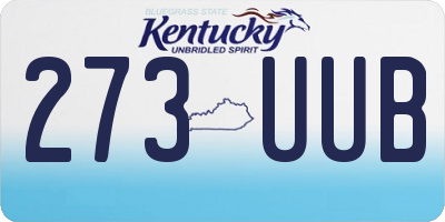 KY license plate 273UUB