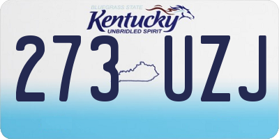 KY license plate 273UZJ