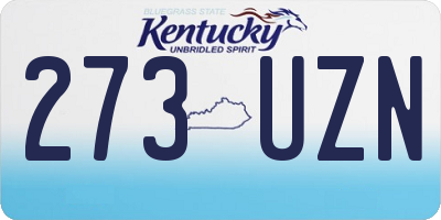 KY license plate 273UZN