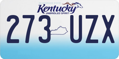 KY license plate 273UZX
