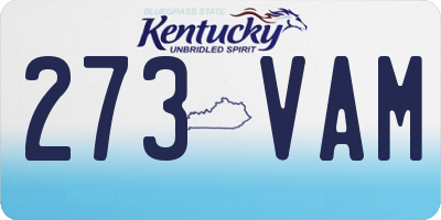 KY license plate 273VAM