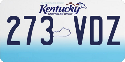 KY license plate 273VDZ