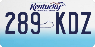 KY license plate 289KDZ