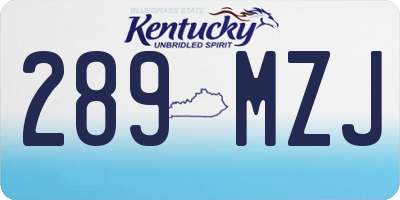 KY license plate 289MZJ