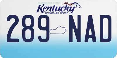 KY license plate 289NAD