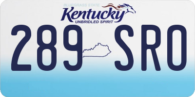 KY license plate 289SRO