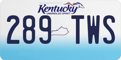 KY license plate 289TWS