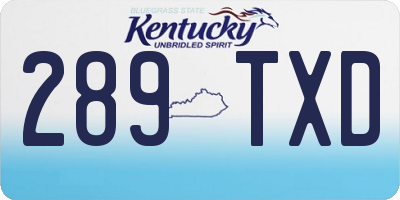 KY license plate 289TXD