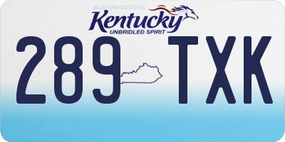 KY license plate 289TXK