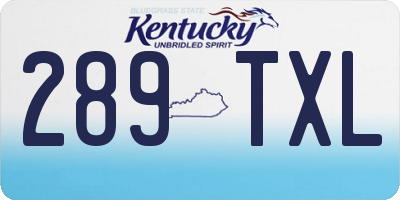 KY license plate 289TXL