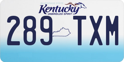 KY license plate 289TXM