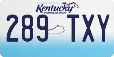 KY license plate 289TXY