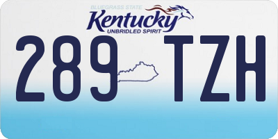KY license plate 289TZH