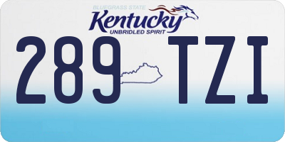 KY license plate 289TZI