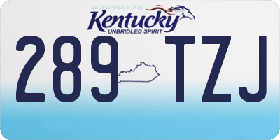 KY license plate 289TZJ