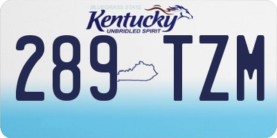KY license plate 289TZM