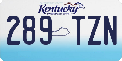 KY license plate 289TZN