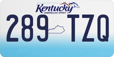 KY license plate 289TZQ
