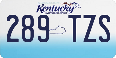 KY license plate 289TZS