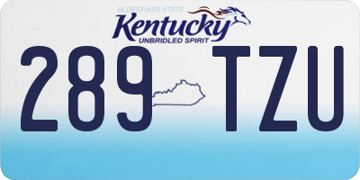 KY license plate 289TZU