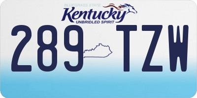 KY license plate 289TZW