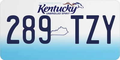 KY license plate 289TZY